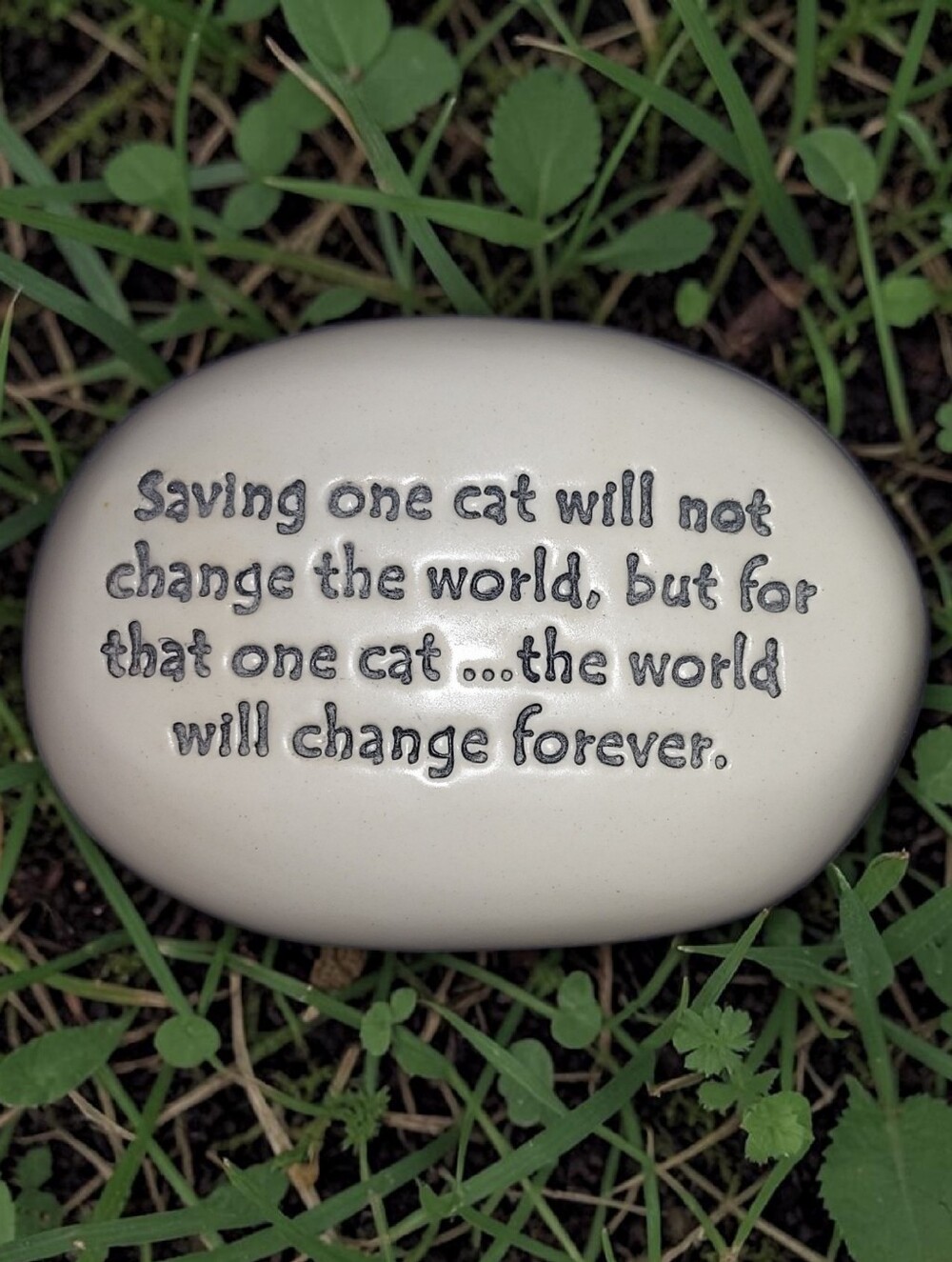 August Ceramics "Saving One Cat..." Garden Stone Paperweight